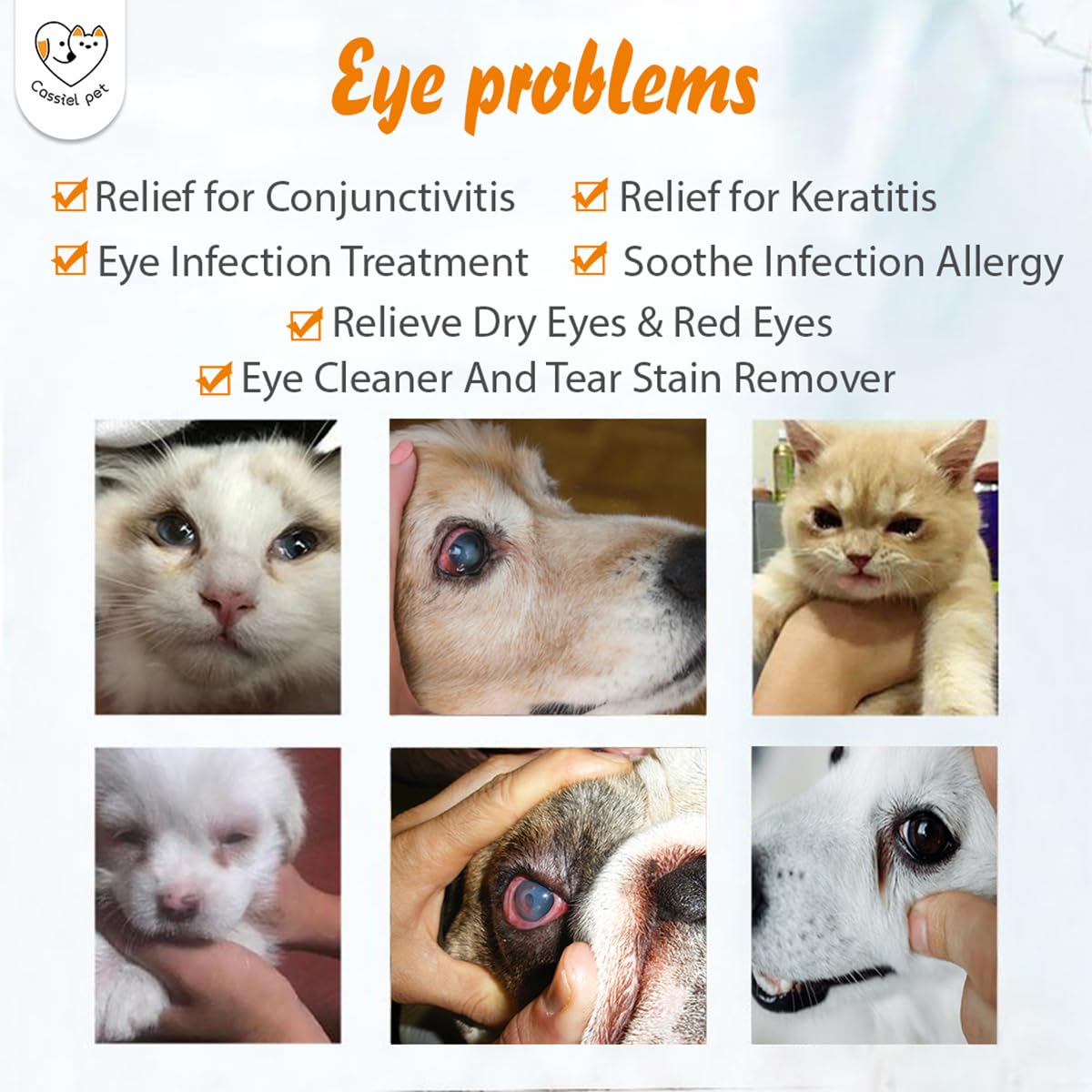 Cassiel pet Eye Drops for Eye Infection Treatment, Soothe Infection Allergy, Relieve Dry Eyes & Red Eye，Eye Cleaner and Tear Stain Remover for Dogs and Cats | 10 ml 0.33 FL OZ (1 Bottle)