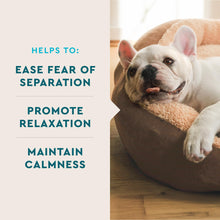 Load image into Gallery viewer, VetIQ Advanced Calming Support Supplement for Dogs, Dog Calming Chews - Anxiety Relief Treats Stress and Promote Relaxation, Made in The USA, 60 Count
