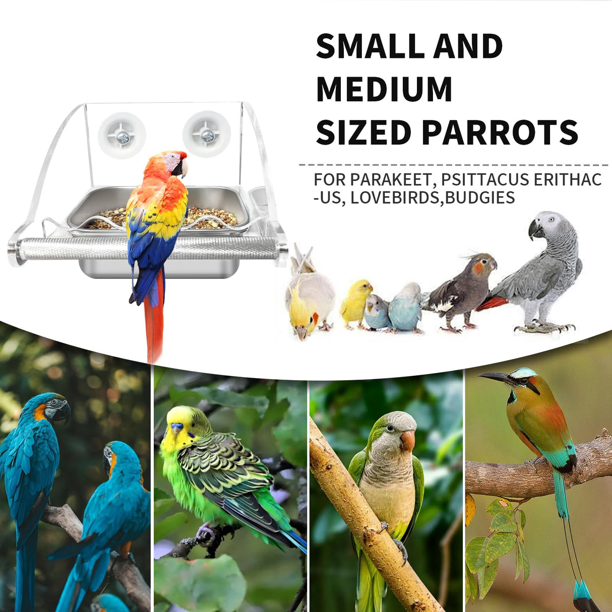 Bird Feeder for Cage,No Mess Bird Feeders, with Anti-Slip Stand, Stainless Steel Bird Bowls Parakeet Feeder for Parakeet, Psittacus Erithacus, Lovebirds,Budgies