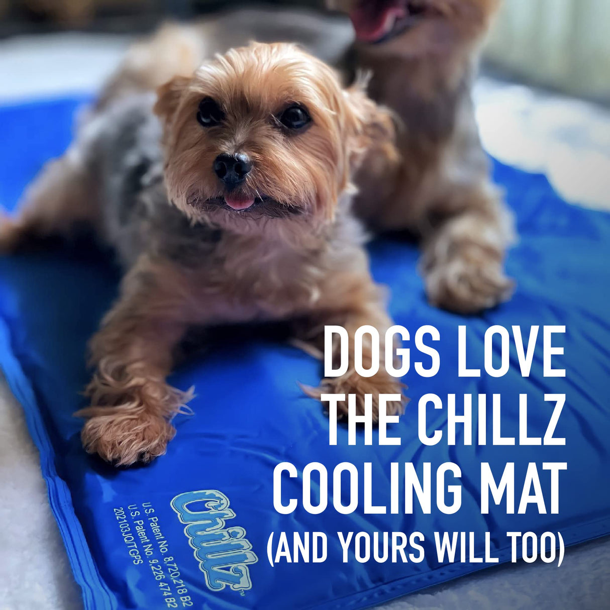 The Green Pet Shop Chillz Gel Mat, Extra Large - Pressure-Activated Cooling Pad for Pets Over 50 lbs - Non-Toxic, No Water or Refrigeration Needed - Ideal for Home, Travel & Crates