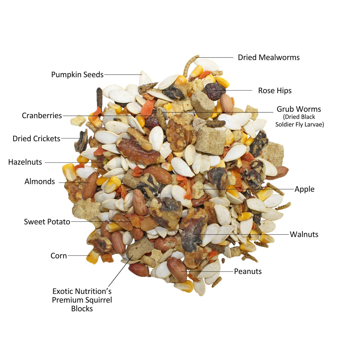 Exotic Nutrition Squirrel Complete (4 lb.) - Healthy Natural Food for Squirrels - Ground, Grey, and Flying Squirrels