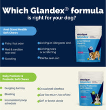 Load image into Gallery viewer, Vetnique Glandex Daily Probiotics for Dogs with Prebiotics to Support Gut Health with Fiber and Digestive Enzymes, Probiotic Chews or Powders (60ct Chews, Bacon Chews)
