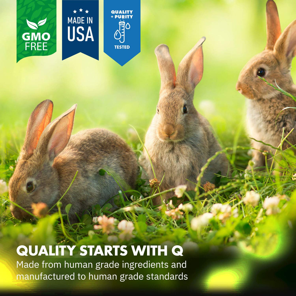 Equa Holistics HealthyGut Probiotics for Rabbits Dietary Supplement, All-Natural Digestive System Formula (120 Servings)