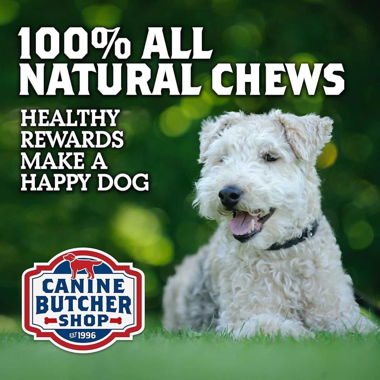 Canine Butcher Shop Chicken Feet Dog Treats, Raised & Made in USA (30-Pack), Dehydrated Chicken Feet, All Natural Dog Chews & Dog Snacks