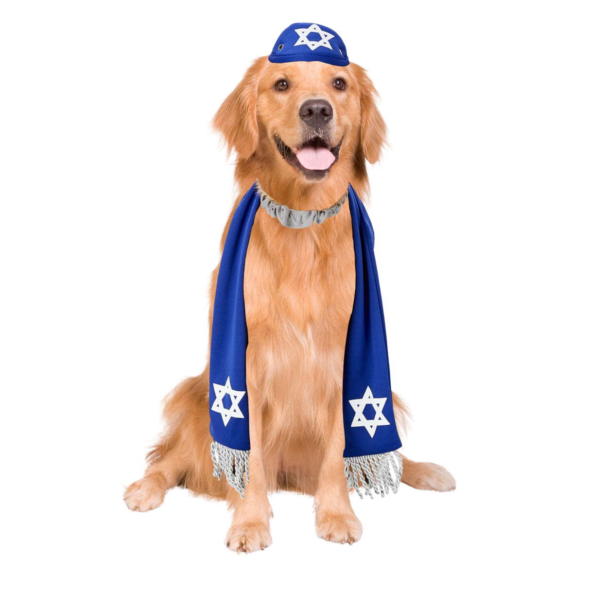 Pets Yarmulke and Tallis Hanukkah Set with Star of David (Large/XL)
