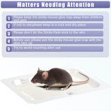 Qualirey 24 Pack Baited Glue Traps Sticky Mouse Trap Rat Traps Indoor Rodent Killer Baited Trays Rat Mouse Exterminator Plastic Sticky Non Toxic Mice Trap for Home Indoor Outdoor Mice Rats Rodent
