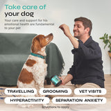 Calming Chews for Dogs with Valerian Root, Turmeric, L-Theanine - Calming Chews for Dogs Anxiety Relief - Soft Treats for Storms, Fireworks, Separation, Vet Visits, Grooming