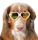Style Vault G012 Dog Pet Costume Prop Sunglasses Heart Shape Medium Breeds 20lb-40lbs (2-Pack Red +Pink-Pink Mirror)