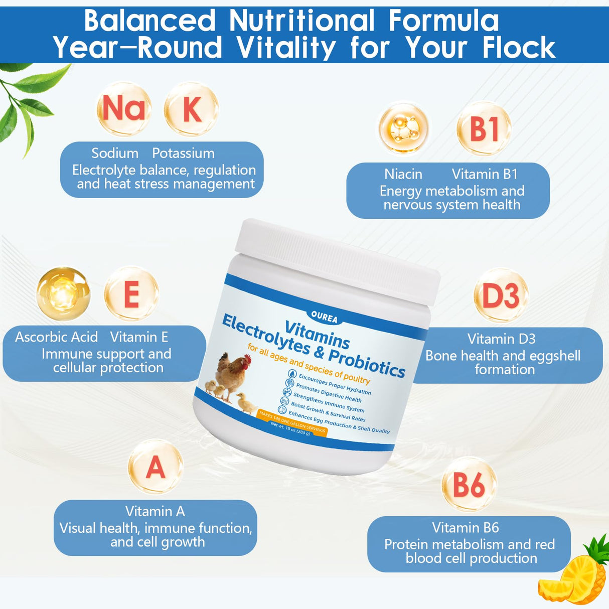 Chicken Vitamin, Electrolyte & Probiotic Supplement - Support Hydration Digestion Immunity Egg Production – Poultry Supplement for Chickens, Ducks, and All Ages of Birds – All-Season Use,10oz Powder