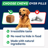StrellaLab Dog Allergy Relief & Anti Itch Support Chews w/Omega 3: Real Ingredients, Real Taste! Skin & Coat Immune Supplement w/Fish Oil, Pumpkin & Enzymes — Developed by Experts - Made in USA -120Ct