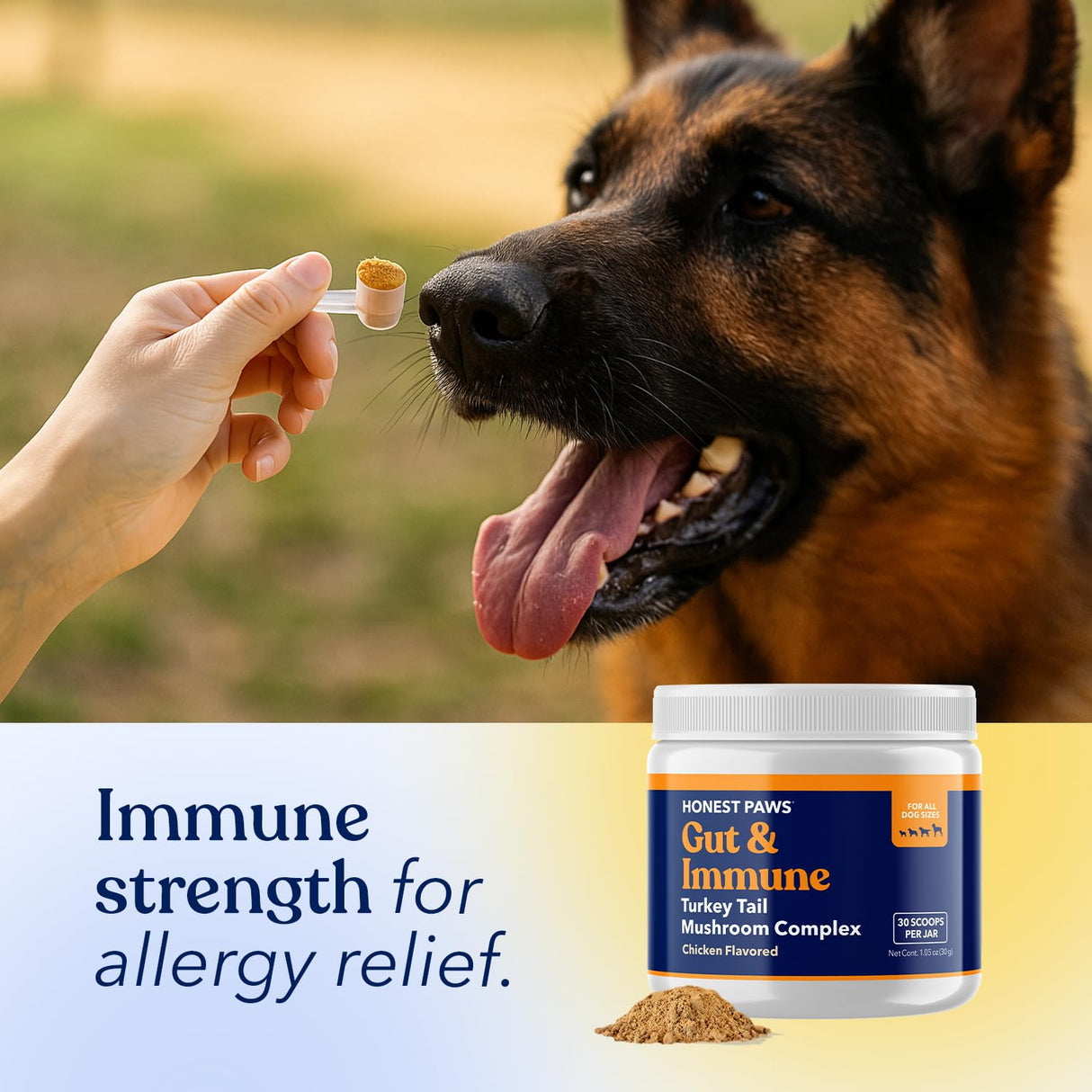 Honest Paws Turkey Tail Mushroom for Dogs - Digestive and Immune Support - Shiitake, Reishi, Maitake Mushroom Supplement Powder for Dogs - No Filler, No Additives - (30 Scoops)