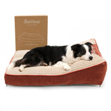 Pawccoli Dog Beds Large Sized Dog - Comfy Flat Pet Beds with Removable Washable Cover, Orthopedic Foam Puppy Mat with Pillow Suitable for Pet Up to 65 lbs(36''×24''×5'')