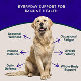 Animal Essentials Super Immune - Dog & Cat Immune Support for Puppies with Olive Leaf Extract & Echinacea, Olive Root for Dogs, Supports Respiratory Health & Overall Wellness - 2 fl oz