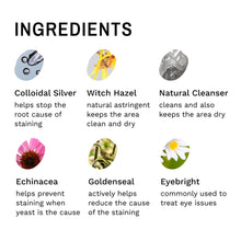 Load image into Gallery viewer, Eye Envy Dog Tear Stain Remover Starter Kit with ProPowder Brush | Stain Solution, Applicator Pads, Stain Powder and Small Applicator Brush | Lasts 30-45 Days
