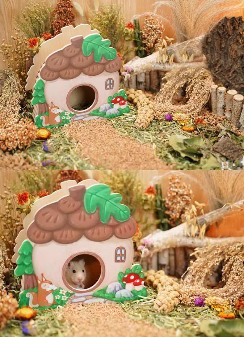 JFWOD Natural Hamster Bedding Flowers Herbs Sprays Treat for Cage Habitat Enclosure Decor for Dwarf Syrian Gerbils Mice Mouse Rat Pet Accessories Supplies