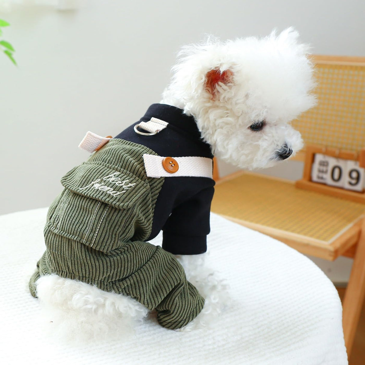 Dog Outfits for Small Dogs Boy Dog Clothes Boy Comfort Jumpsuit One Piece Cat Apparel Dog Pjs Small Dog Outfits Female Dog Tshirts Soft Chihuahua Puppy Clothes Dog Costume Black Green S