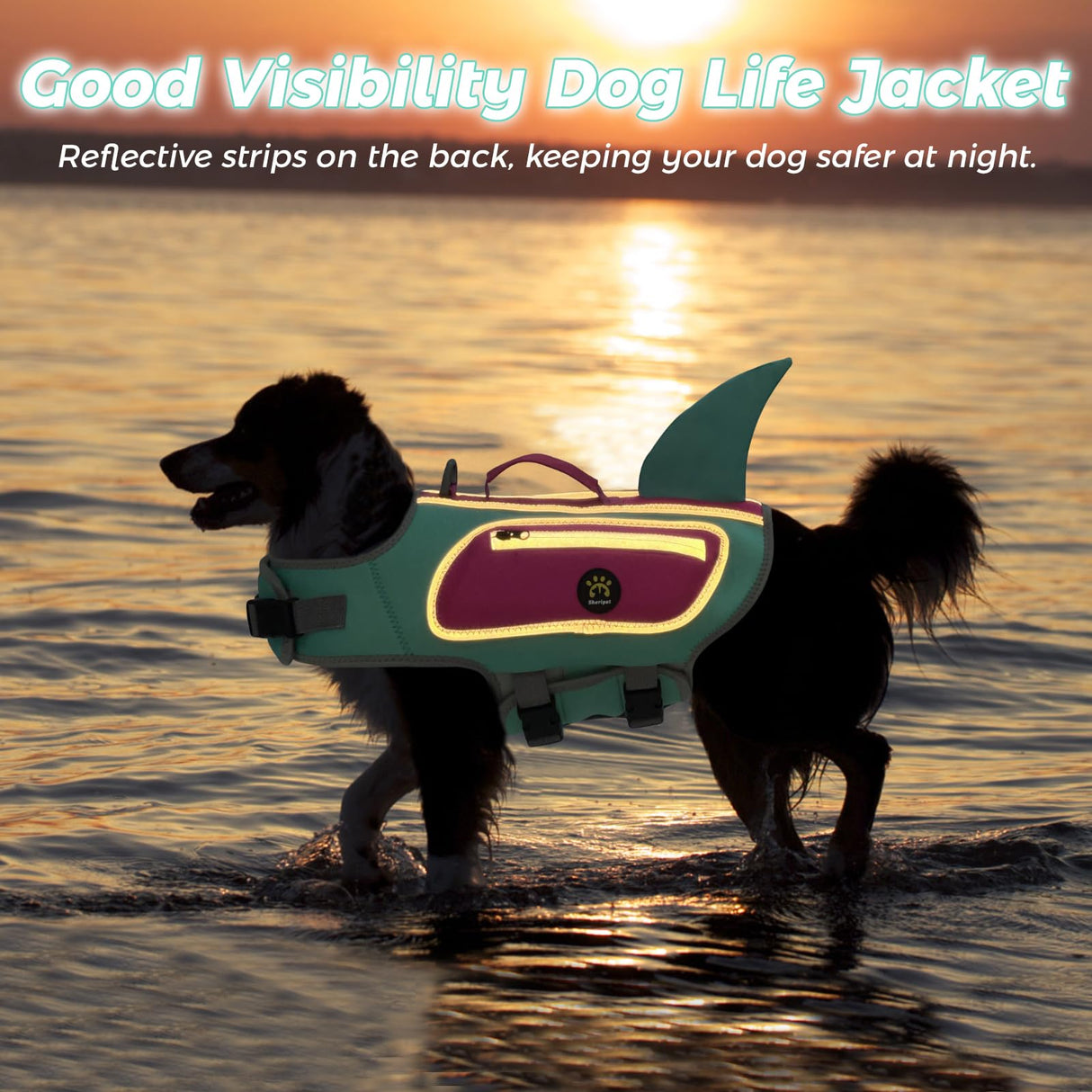 Sheripet Dog Life Jacket, High Buoyancy Shark Dog Safety Vest, Neoprene Pet Life Preserver with Good Visibility & Reflective, Puppy Swim Floating Vest with Rescue Handle for Boating (Turquoise, Small)