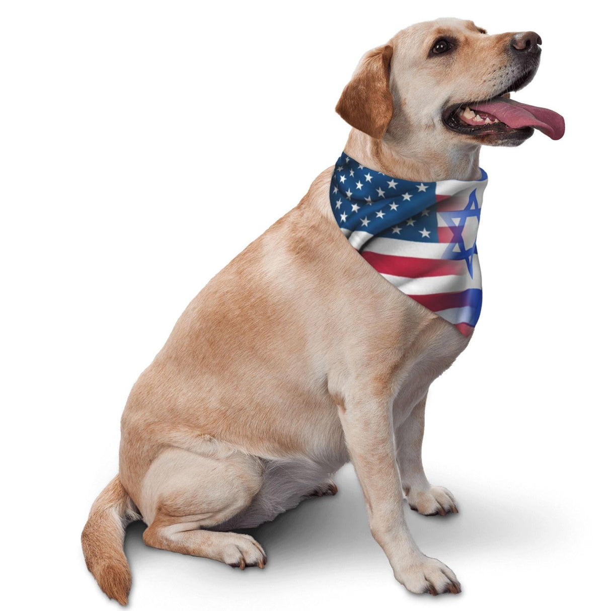 USA American and Israel Israeli Flags Dog Bandana Adjustable Triangle Pet Scarf Premium Quality Bandanas for Dogs and Cats