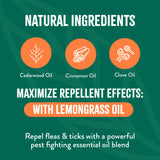 TropiClean Natural Maximum Strength Flea and Tick Spray for Dogs and Home, 32oz
