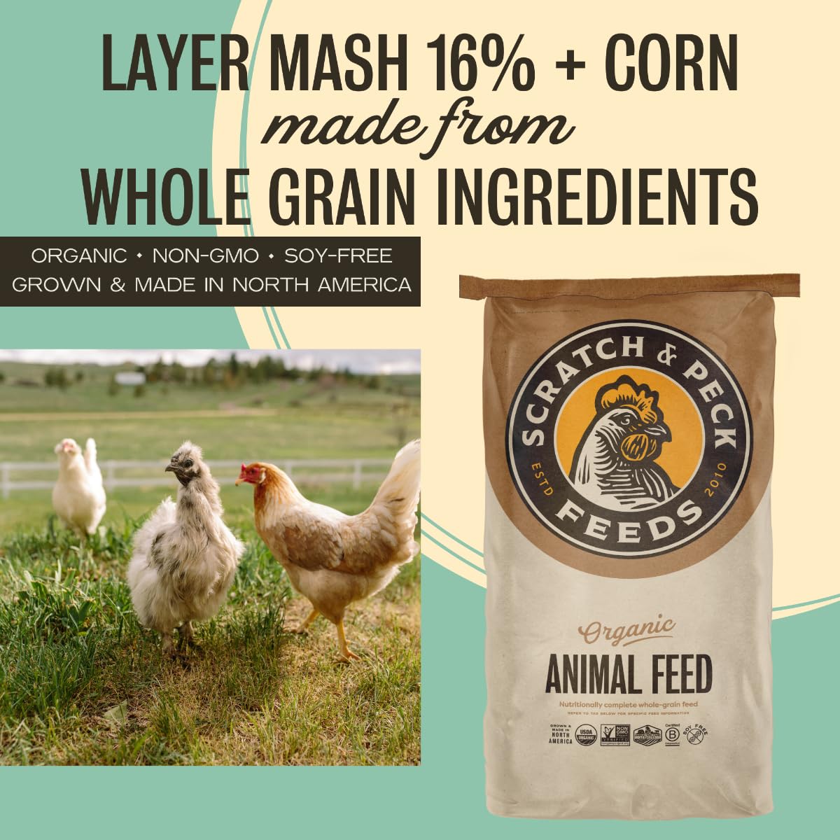 Scratch and Peck Feeds Whole Grain Layer Mash + Corn Chicken and Duck Feed - 40 lbs Bag - Soy-Free - 16% Protein, Certified Organic and Non-GMO Project Verified Chicken Food