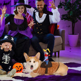T2Y Cowboy Rider Dog Costume - Halloween Dog Costumes for Large Dogs, Dogs Clothes Knight Style with Doll and Hat for Halloween Day, Suitable for Shepherd, Husky, Shiba Inu【XL】