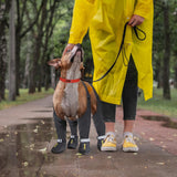 Idepet Dog Suspender Boots, Anti-Slip & Fall Waterproof Tall Shoes Legging for Small Medium Dog, Adjustable Suspender Boots for Winter Snow Rain Hiking Paws Protector 6