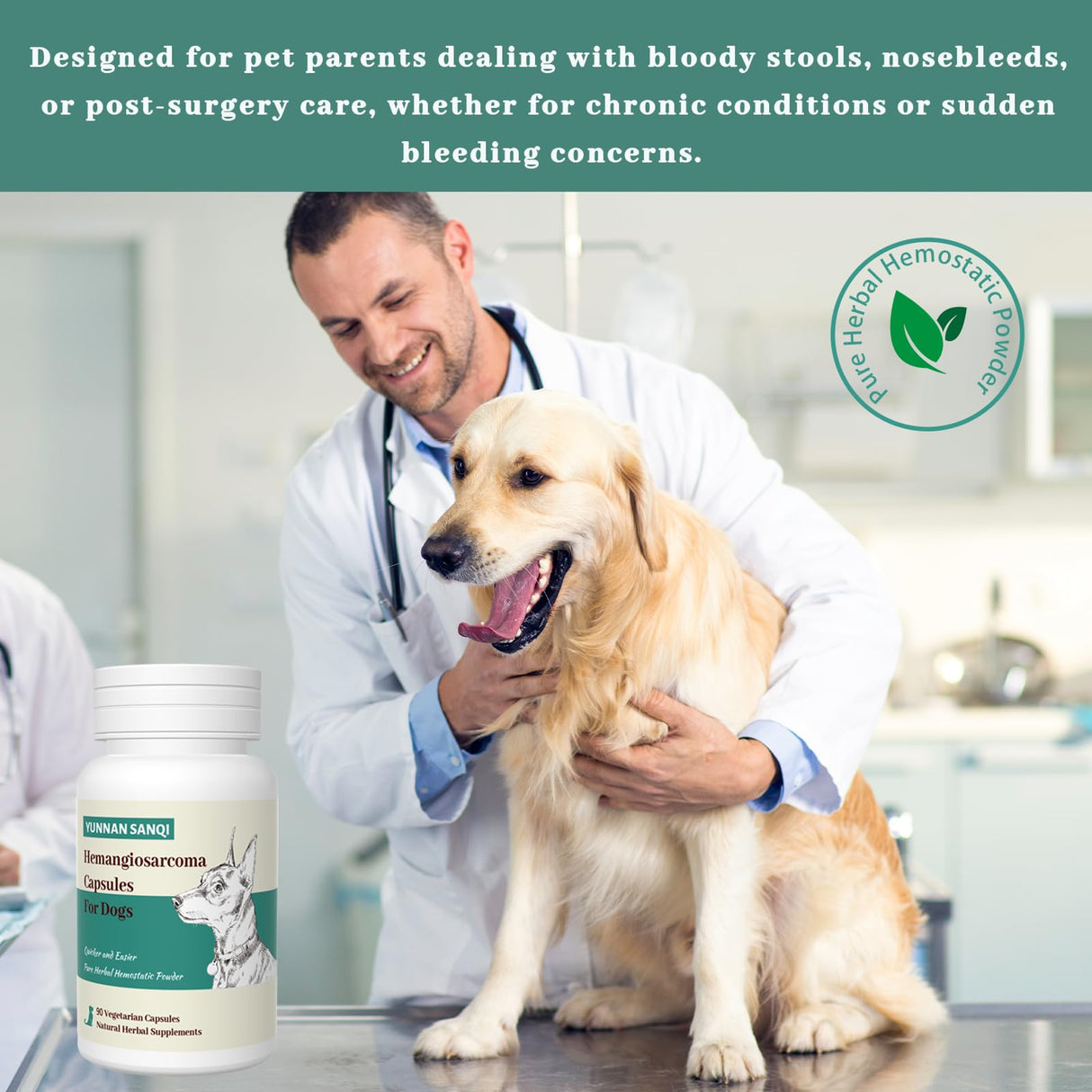 Yunan Sanqi Hemostatic Capsules for Dogs, for Hemangiosarcoma, Hemoabdomen, Pericardial Effusion, Cancer Bleeding, Severe Bruising, Ulcer-Related Bleeding