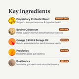 PetLab Co. Allergy & Immune Daily Probiotics for Dogs. Supports Yeast Production, Seasonal Allergies, Intermittent Itchiness, Gut & Digestive Health for Large Dogs - 30 Chews - Packaging May Vary