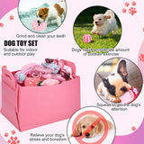 Abbylike 75 Pcs Puppy Supplies Starter Kit for Small Dogs New Puppy Essentials Starter Kit Pink for School Dog Toys Includes Dog Leash, Bowl, Brushes, Water Bottles, Christmas Welcome Home Gift