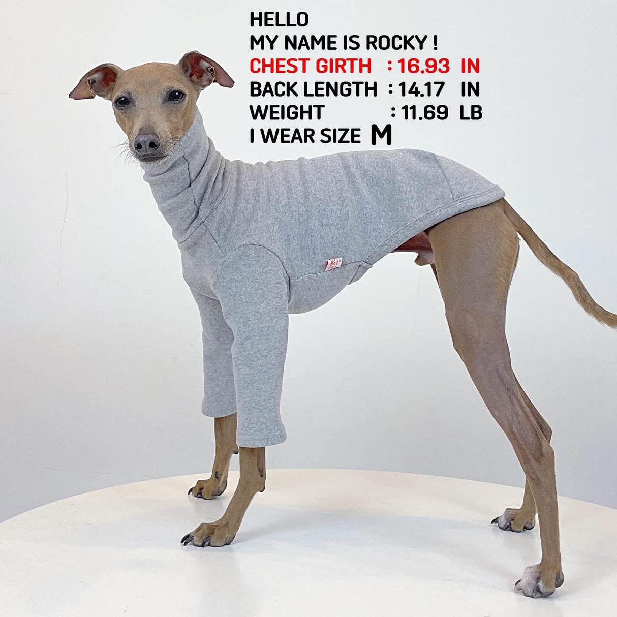 D Doggy Star Italian Greyhound Clothes Flexible T Shirts Whippet for Dogs (L,Solid Grey)