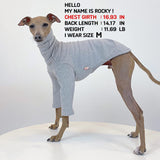 D Doggy Star Italian Greyhound Clothes Flexible T Shirts Whippet for Dogs (L,Solid Grey)