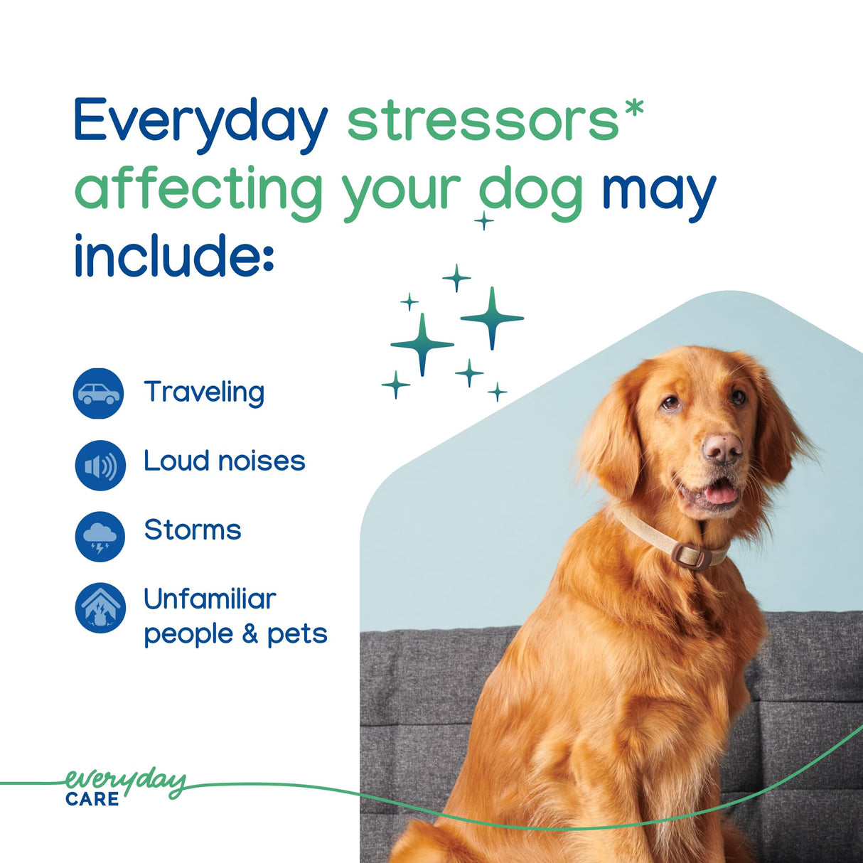 Virbac ZENIDOG Long Acting Dog Calming Pheromone Collar for Stress Relief, Medium/Large Dog - Lasts up to 3 Months