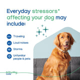Virbac ZENIDOG Long Acting Dog Calming Pheromone Collar for Stress Relief, Medium/Large Dog - Lasts up to 3 Months