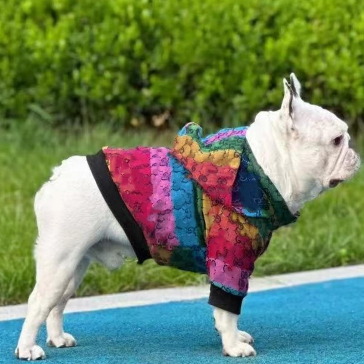 HQREA Dog Hoodie Luxury Winter Small Dog Jacket Clothes Classic Designer French Bulldog Teddy Pug Puppy Clothes(S)