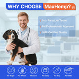 Dog Allergy Chews - Itching Skin Relief - 180 Chews Natural Dog Allergy Relief Treatment for Paw Licking, Anti-Itch, Dry Skin, Hot Spots, Allergies & Immune Support Supplement