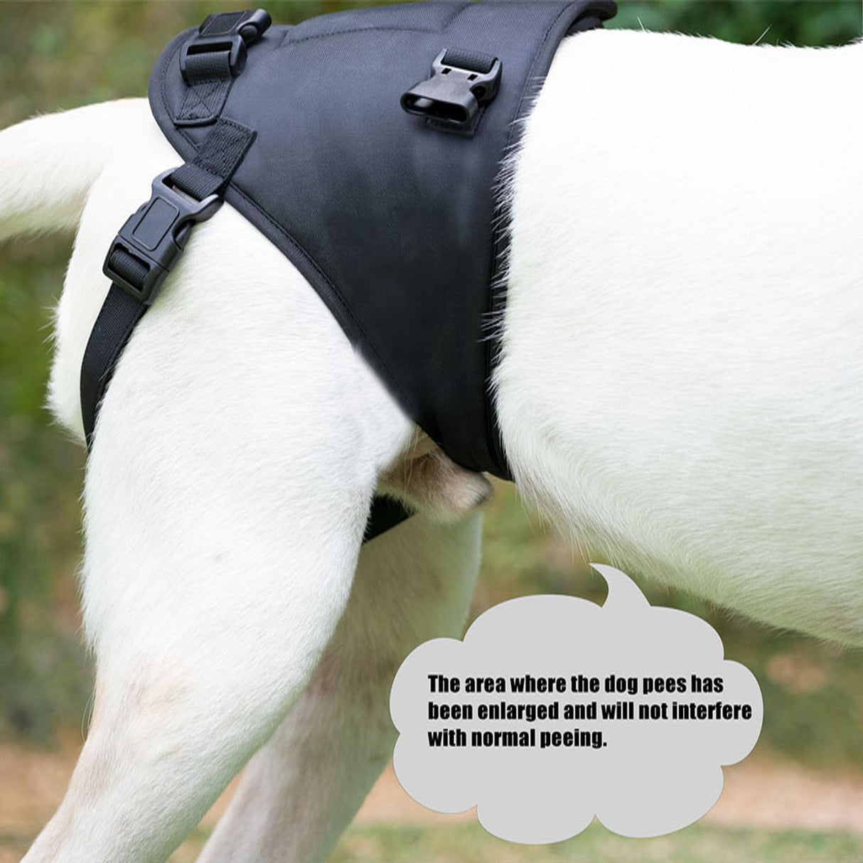 Dog Lift Harness, Dog Sling for Large Dogs Hind Leg Support, Adjustable Soft Padded Rehab Harness for Weak Rear Legs Elderly Injured Disabled Arthritic Dogs