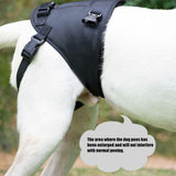 Dog Lift Harness, Dog Sling for Large Dogs Hind Leg Support, Adjustable Soft Padded Rehab Harness for Weak Rear Legs Elderly Injured Disabled Arthritic Dogs