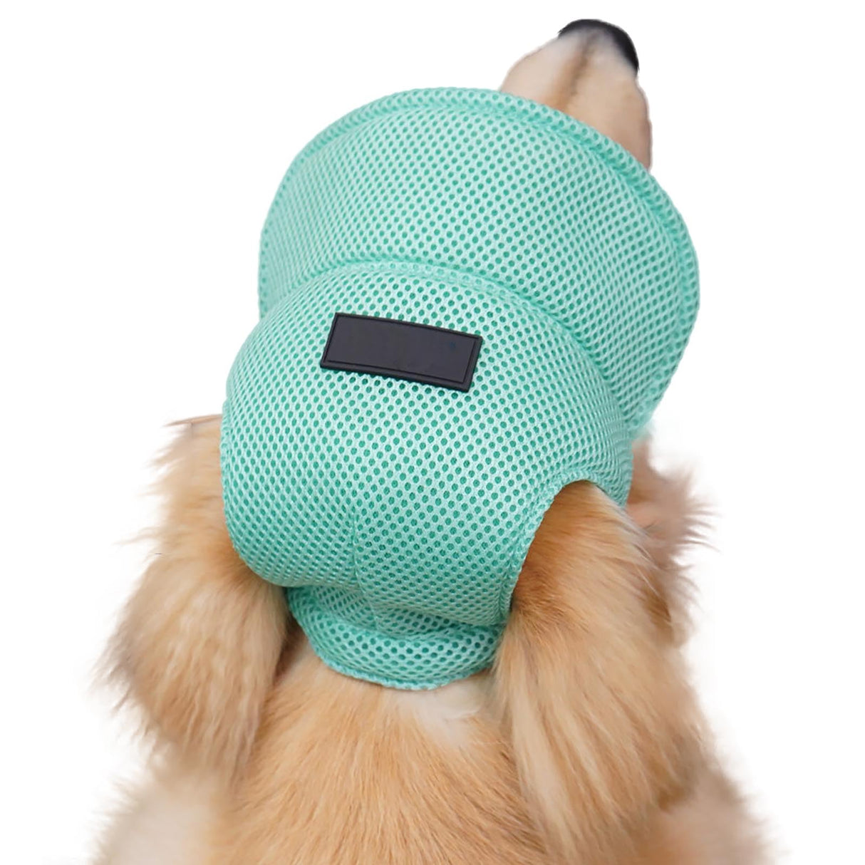 UOSIA Dog Visor Hat for Large Dogs, Green, XL, Polyester, Breathable, Outdoor, Adjustable, Sun Protection