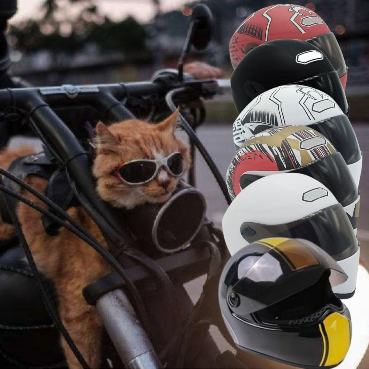Pet Motorcycle Helmet Dog/Cat Full Face Motorcycle Helmet Outdoor Motorcycle Bike Riding Helmet Hat for Cat Dog Doggie Puppy Kitten Pet Supplies Racing Car Fan Collectible Small Gift (White)
