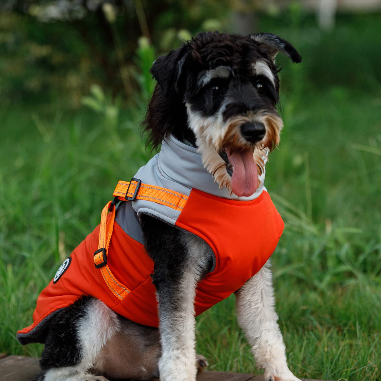 Norbi Small Dog Winter Coat with Harness, Easy On/Off Waterproof Warm Jacket, No-Pull Reflective Vest for Small Medium Breed Dogs, Windproof Cold Weather Apparel