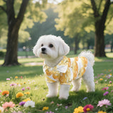 Rivatimrio Rose Pumpkin Pet Clothes Tropical, Champagne Rose Doggy Summer Cool Hawaii Shirt for Small Puppy Pug Dog Cat, Autumn Harvest T-Shirt Pug Dogs Shirts Yorkie Rabbit Poodle - M