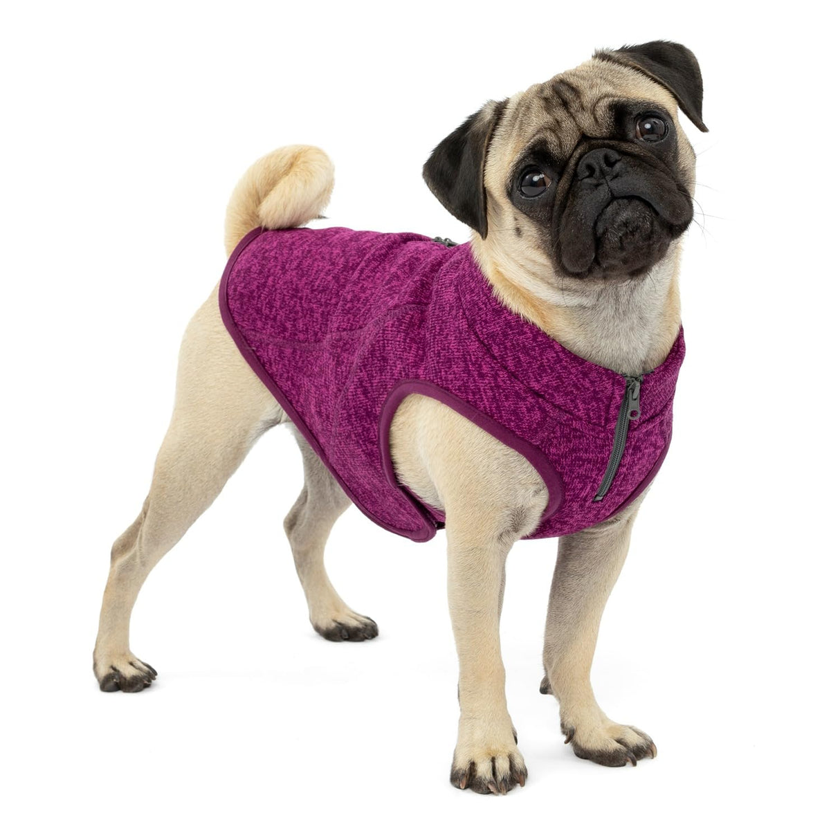 Kurgo Core Dog Sweater, Knit Dog Sweater With Fleece Lining, Cold Weather Pet Jacket, Zipper Opening for Harness, Adjustable Neck, Year-Round Sweater for Small Dogs (Heather Violet, X-Small)