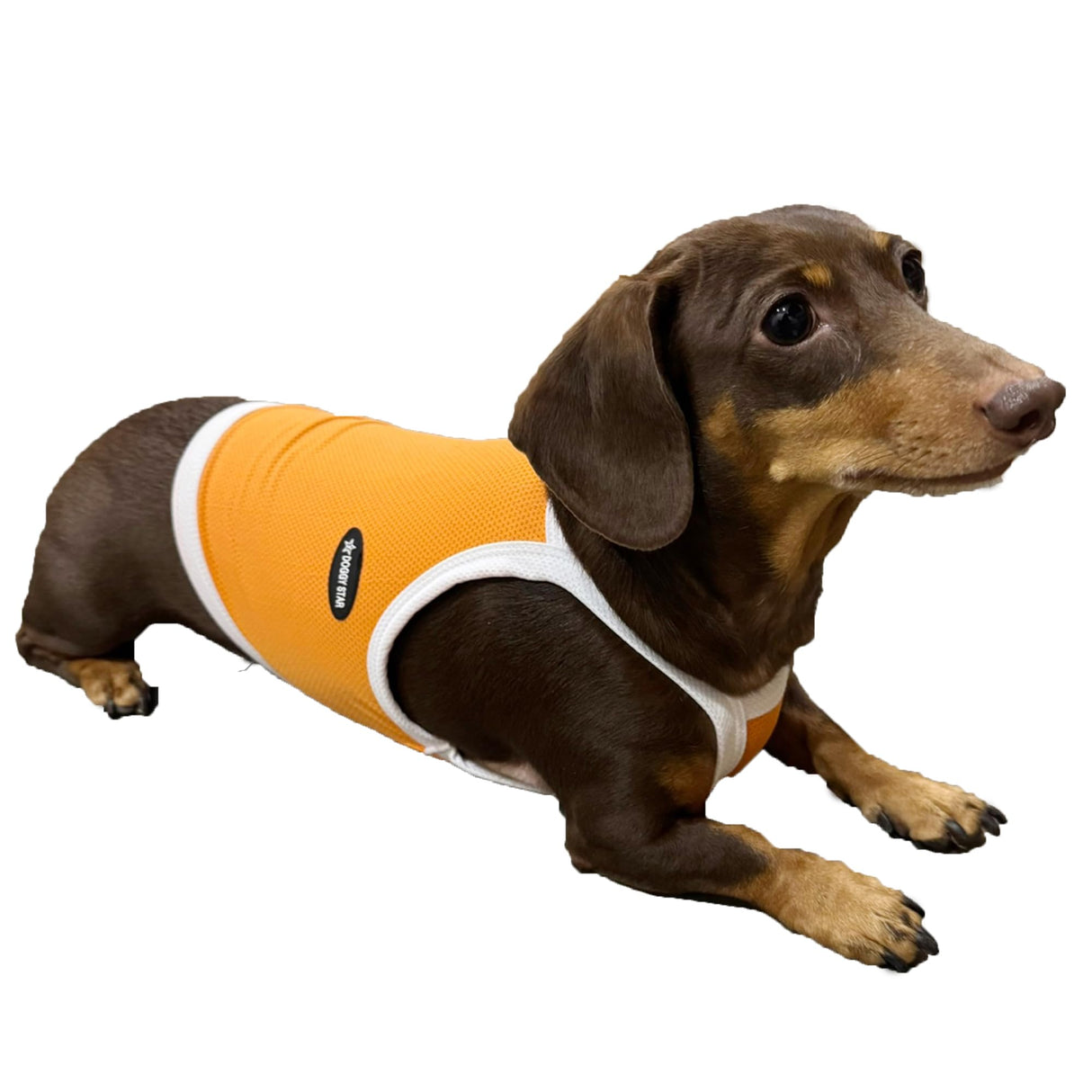 D Doggy Star Dachshund Clothes Spring Summer Cooling String T Shirt Crop Top for Dogs (L,Camisole Orange)