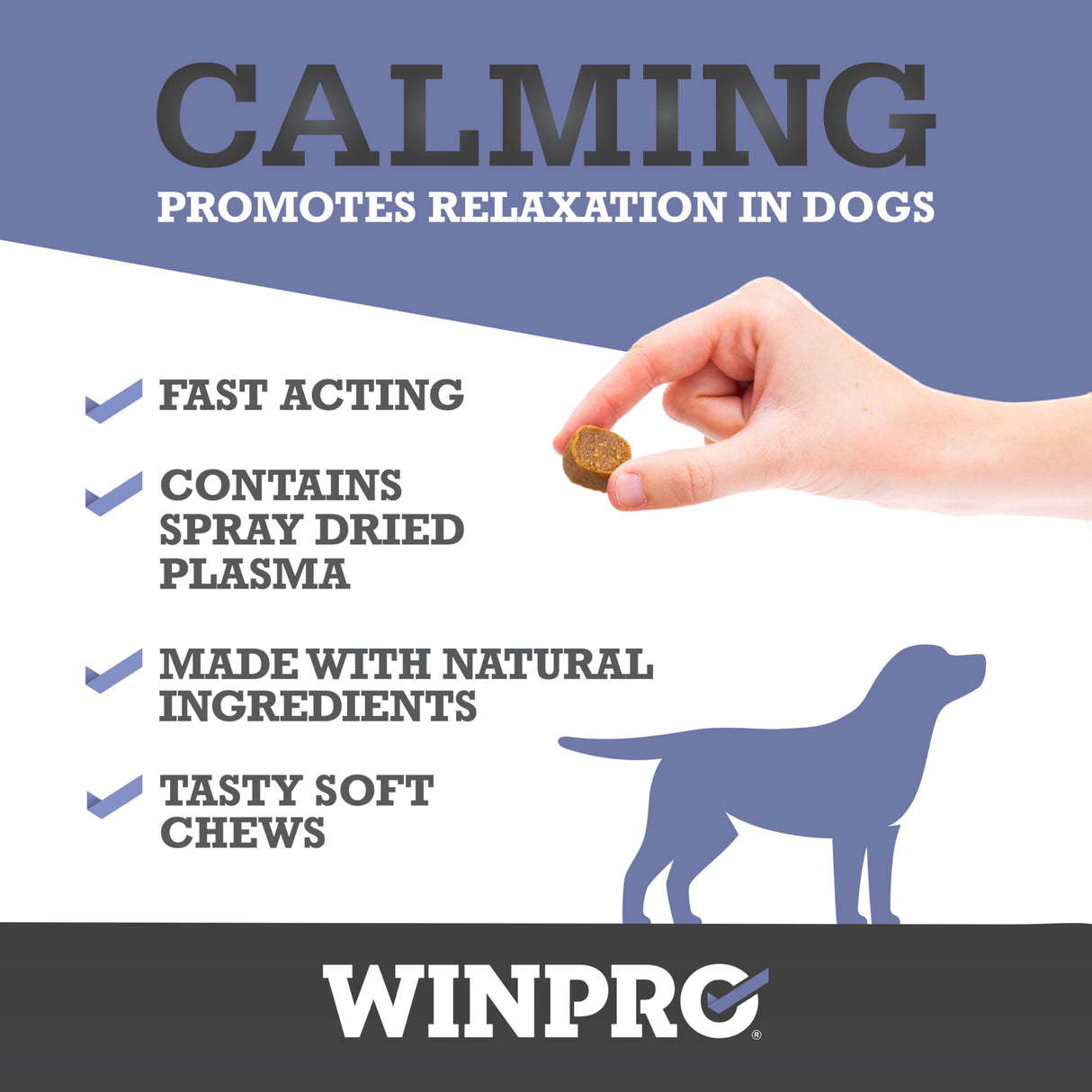 WINPRO Calming Chews for Dogs – Plasma-Powered Soft Chews to Promote Relaxation and Calming Effect – Made with Natural Ingredients, Grain-Free - Suitable for All Breeds & Sizes – 60 Count