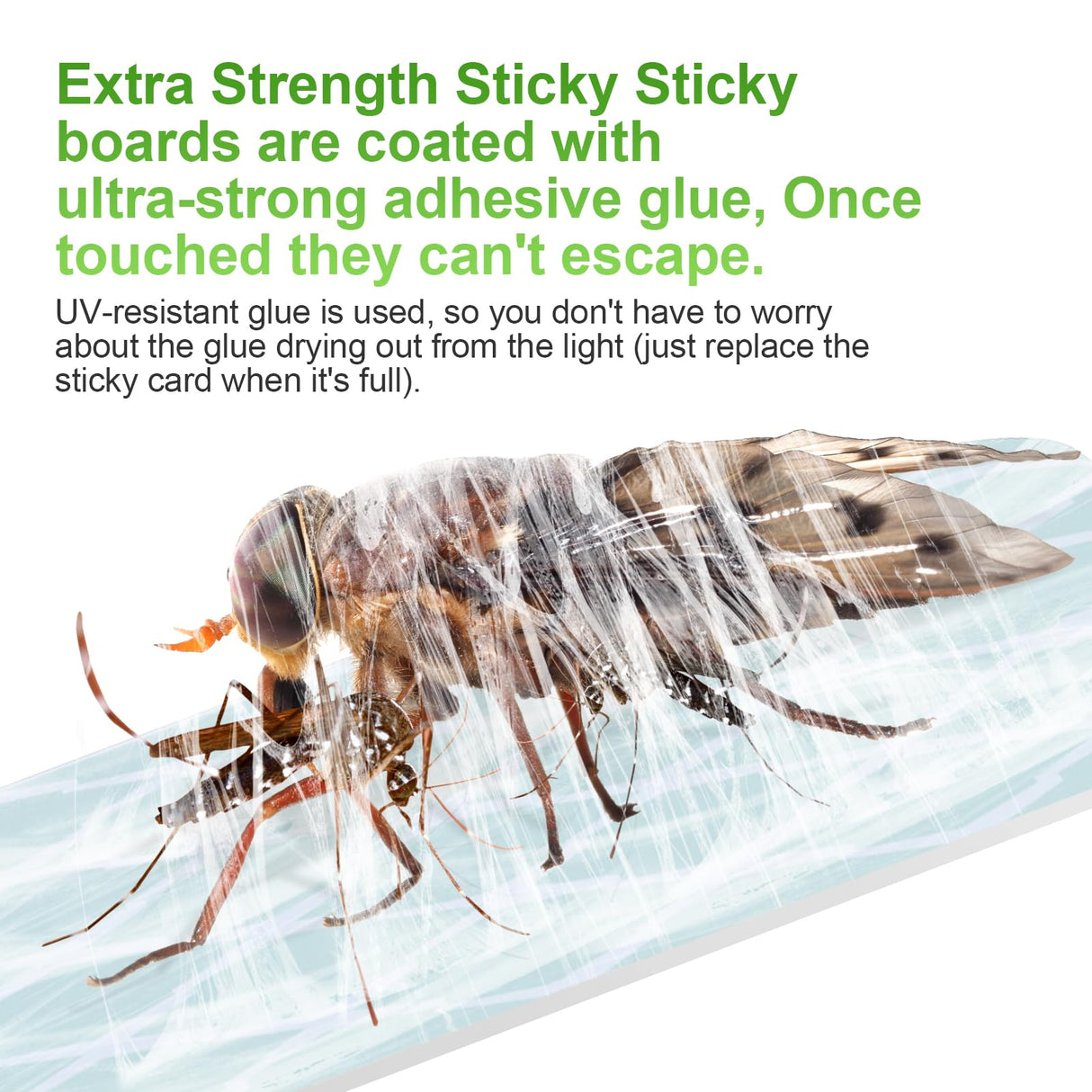 Gnat Traps for House Indoor, Fly Trap Indoor for Fruit Flies, Gnat, Moth, Mosquito, and Other Flying Insects - 2 Devices + 12 Glue Boards, Two Modes Protect 400 Sq Ft for Home