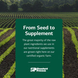 Standard Process Inc. VF Antronex for Pets - Feline & Canine Hepatic Support Formula - Healthy Liver Supplement for Cats & Dogs - Antronex Supplement to Support Healthy Immune System - 90 Tablets