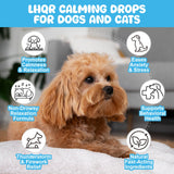 LHQR Cat Melatonin Natural Calming Liquid - 60ML Calming Drops for Dog for Anxiety & Stress Relief - Separation, Thunder, Fireworks Support - Calming Pet Supplement for Small Large All Breeds