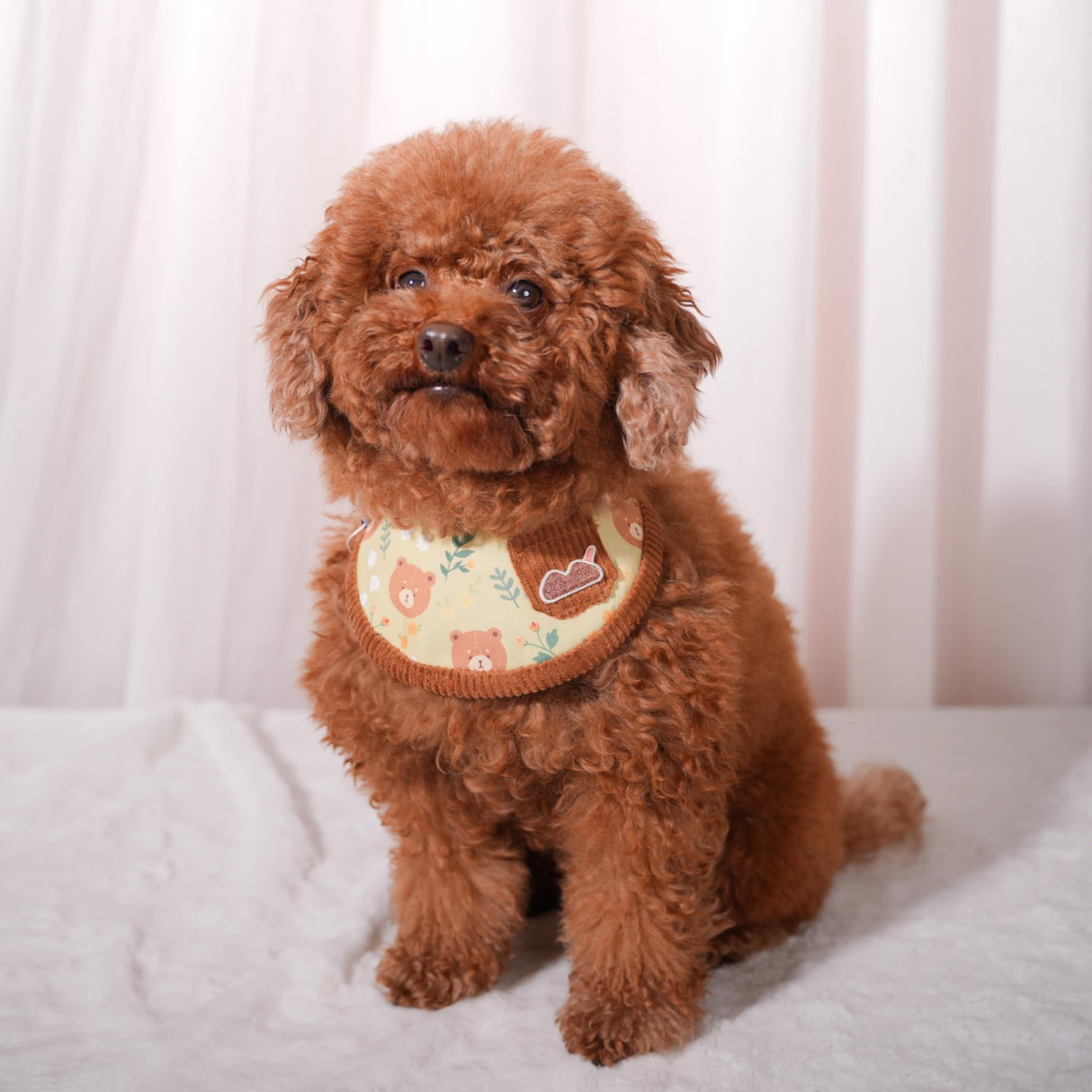 Pet Bandana for Cats and Dogs | Soft and Durable Pet Scarf | Available in 5 Styles S/M/L/XL | Adjustable Triple-Snap Closure (Forest Bear Bib, Medium)