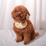 Pet Bandana for Cats and Dogs | Soft and Durable Pet Scarf | Available in 5 Styles S/M/L/XL | Adjustable Triple-Snap Closure (Forest Bear Bib, Medium)