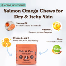 Load image into Gallery viewer, Natural Dog Company Skin &amp; Coat Supplement for Dogs – Omega 3 Salmon Oil, Biotin &amp; Vitamin E Support Shiny Coat, Healthy Skin &amp; Normal Shedding, Promotes Comfort from Occasional Itch, 90 Count
